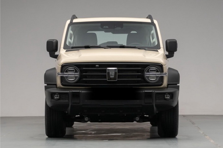 汽油柴油插混3大动力加持，坦克300将于3月10日上市插图1