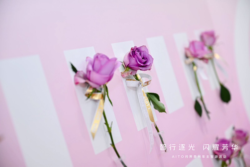 “智行逐光闪耀芳华”AITO问界贵州车主智游活动圆满落地插图1