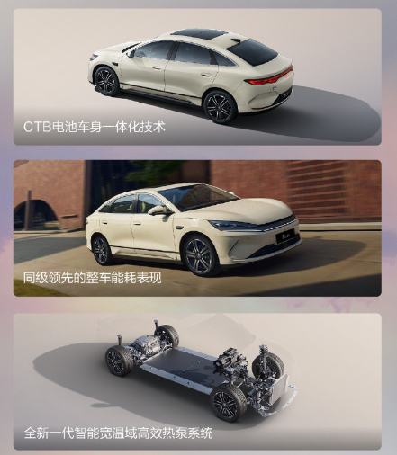 比亚迪2024财报亮眼！新能源龙头的“全能进化”之路插图1