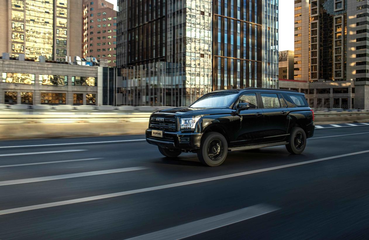 重新定义大型全用途SUV新标杆，2025款新哈弗H5进阶上市插图6