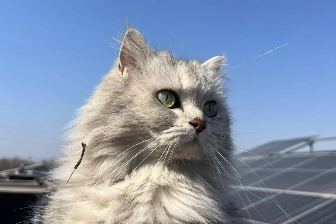 我们，已没以后了