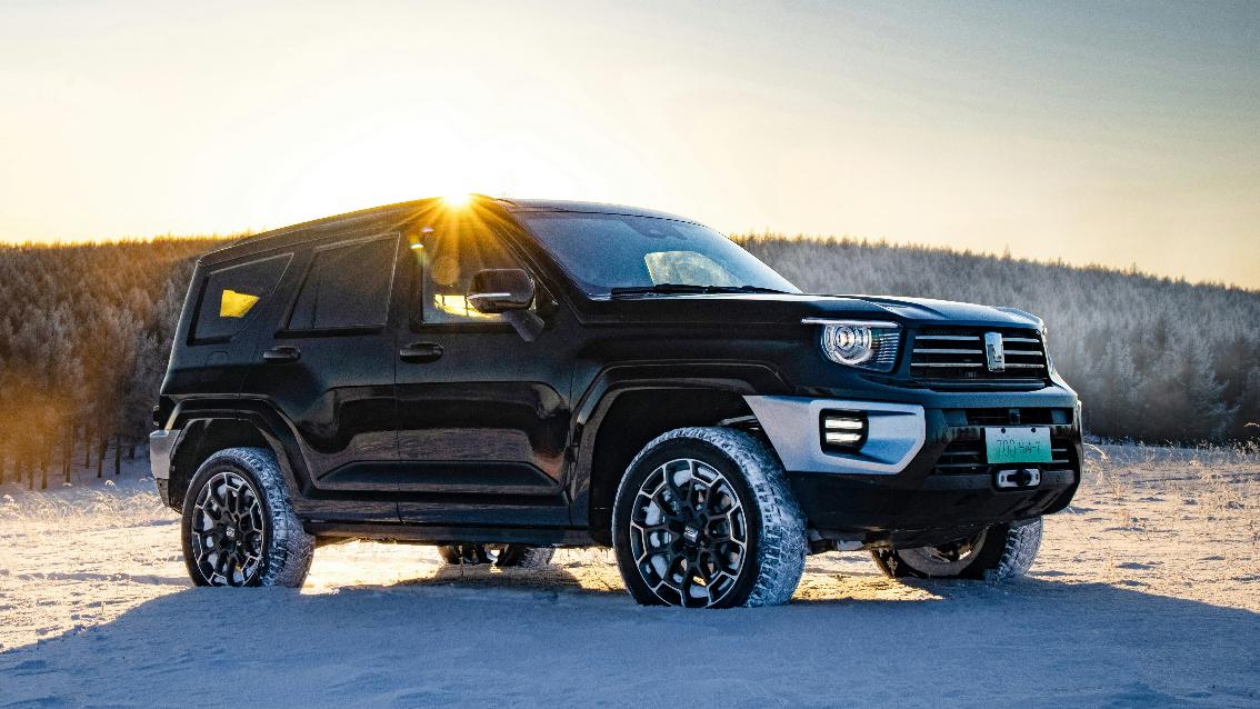 长城汽车2024成绩单出炉，这成绩太“卷”了插图2