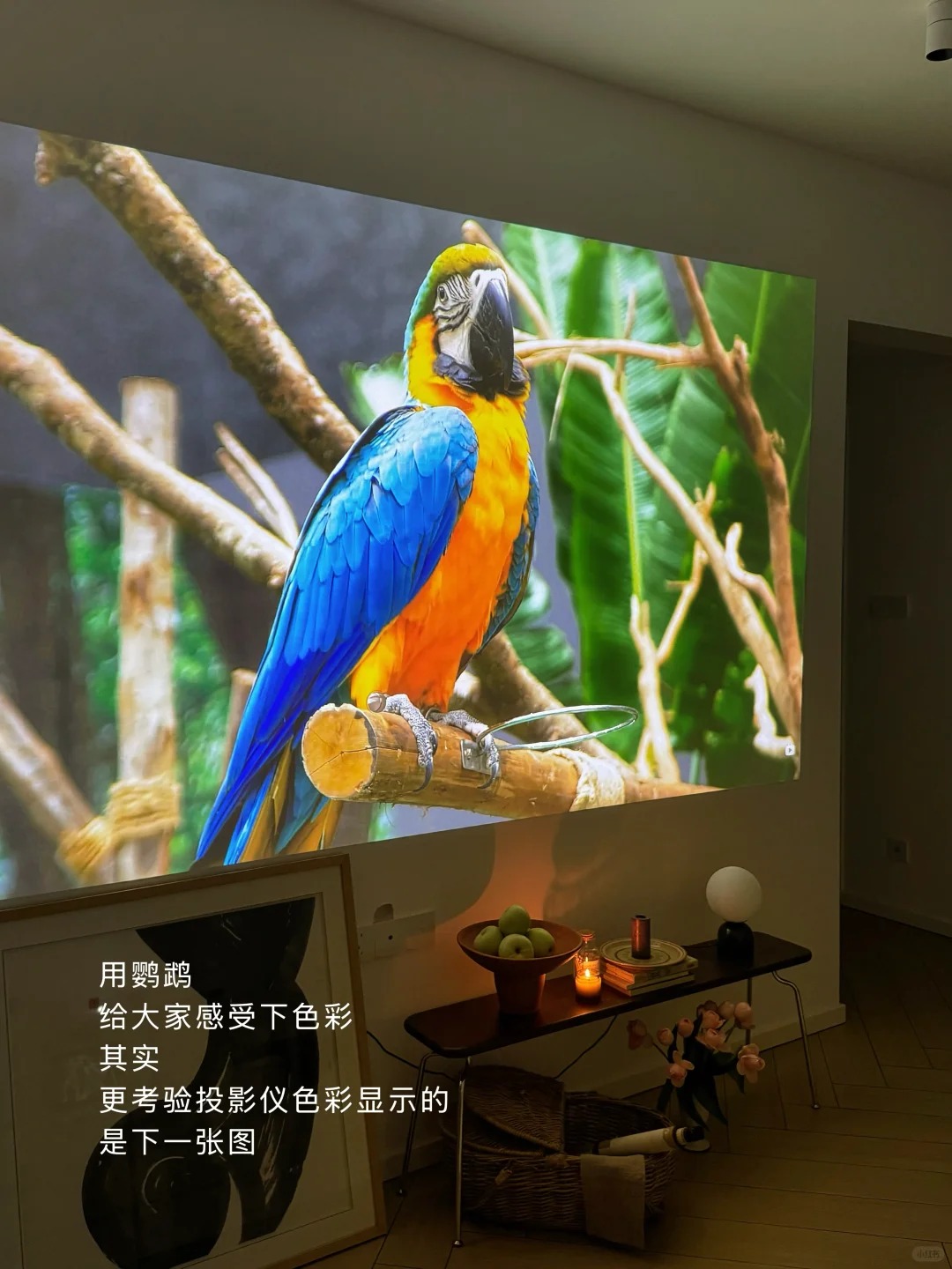 2025家用投影清晰度大比拼，当贝F7 Pro脱颖而出插图5