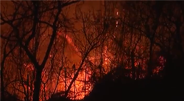 韩国史上最大山火成因出炉：56岁男子因上坟被调查