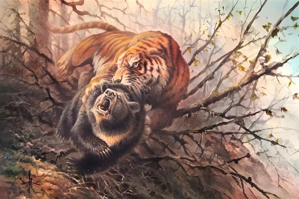 为什么非洲没有熊：可能比想象得更复杂