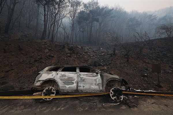 千年古刹被烧毁 韩国最严重山火已致26死：灭火需等下雨