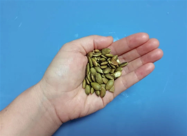 爱吃南瓜籽的有福了 每天1小把 竟有这么多意想不到的好处