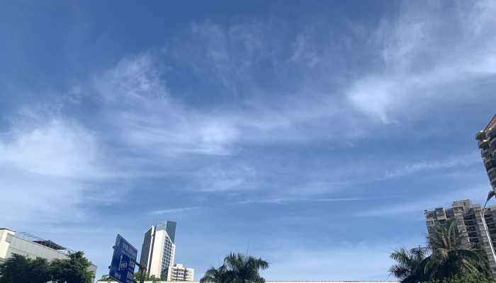 本周湖北省晴暖升温后迎寒潮大风 “倒春寒”需防范