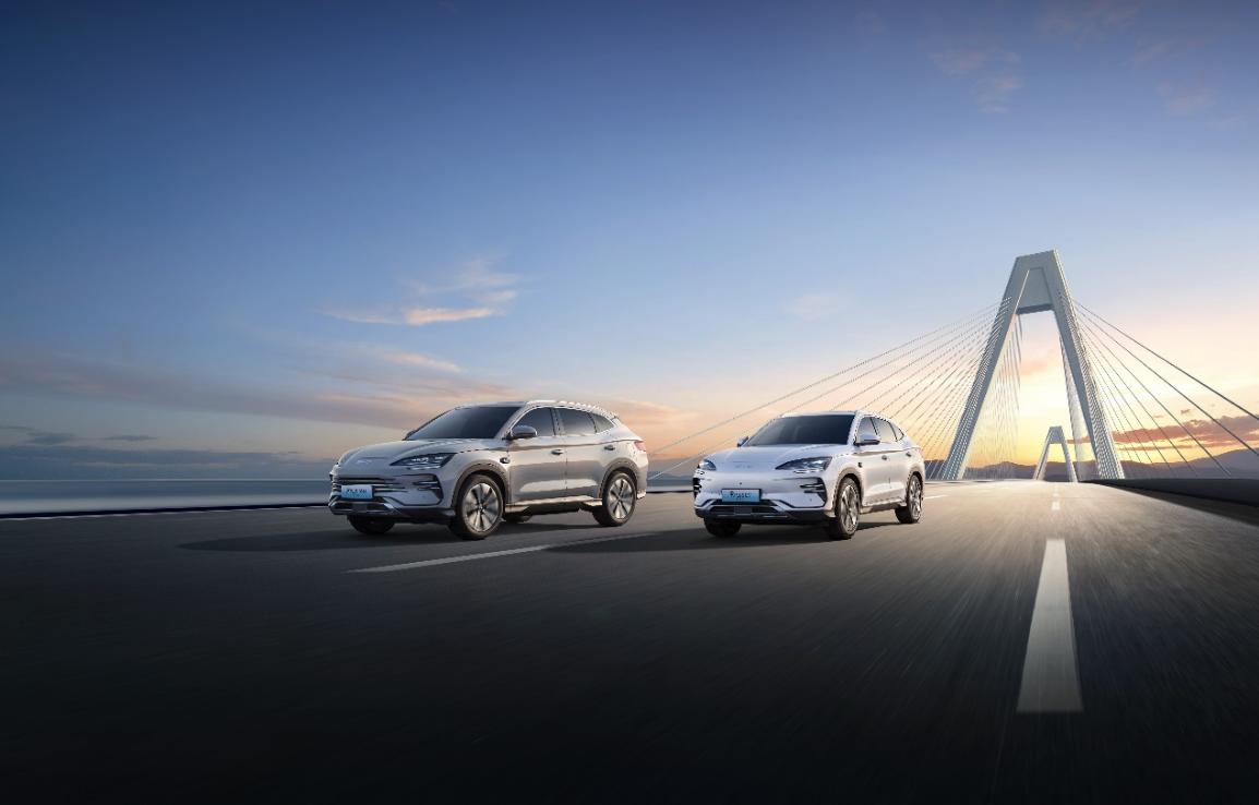 7万级即享高阶智驾 比亚迪海洋网11款智驾版车型上市插图6