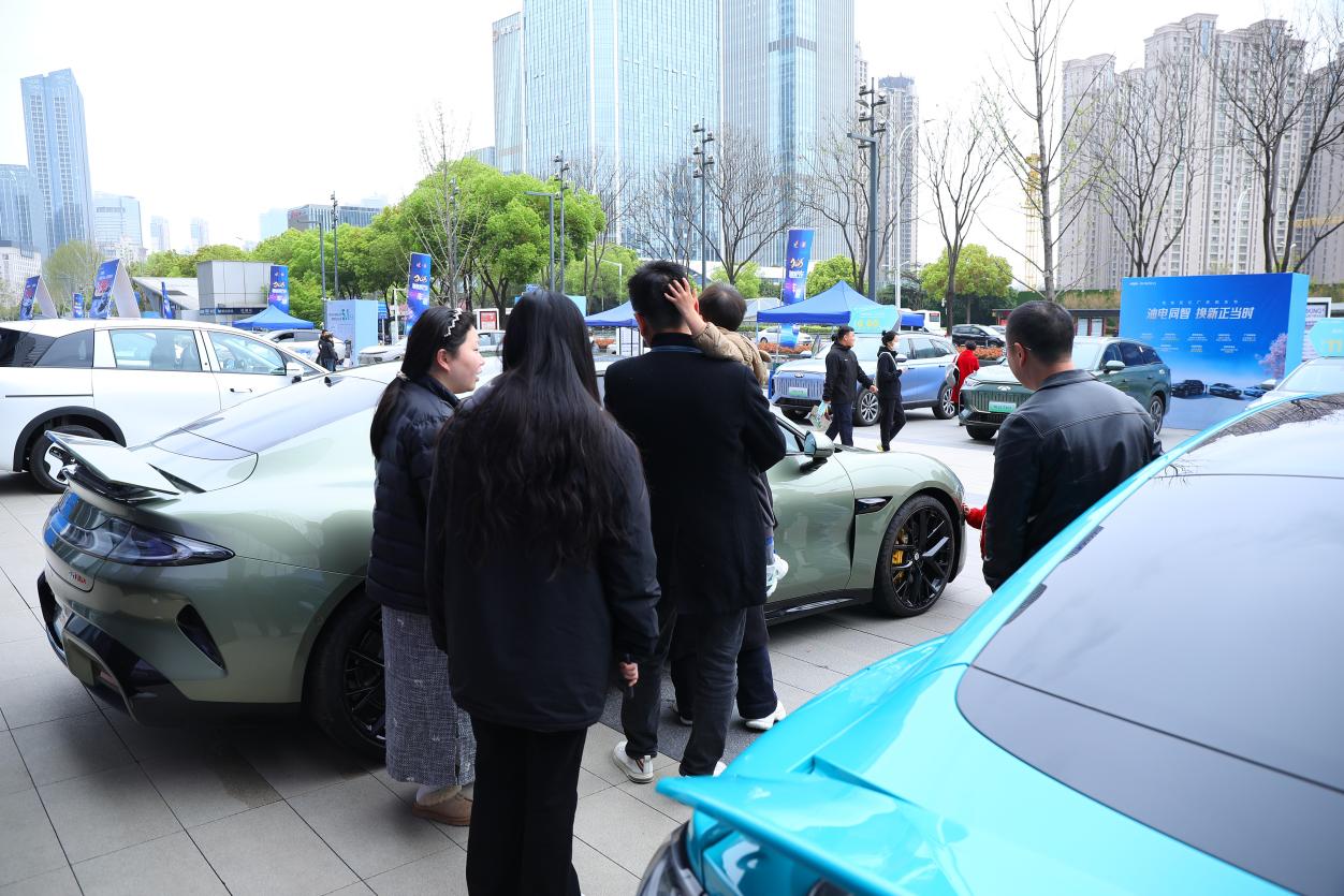 春季欢乐购、补贴再加码，“2025新能源车展”完美收官插图4