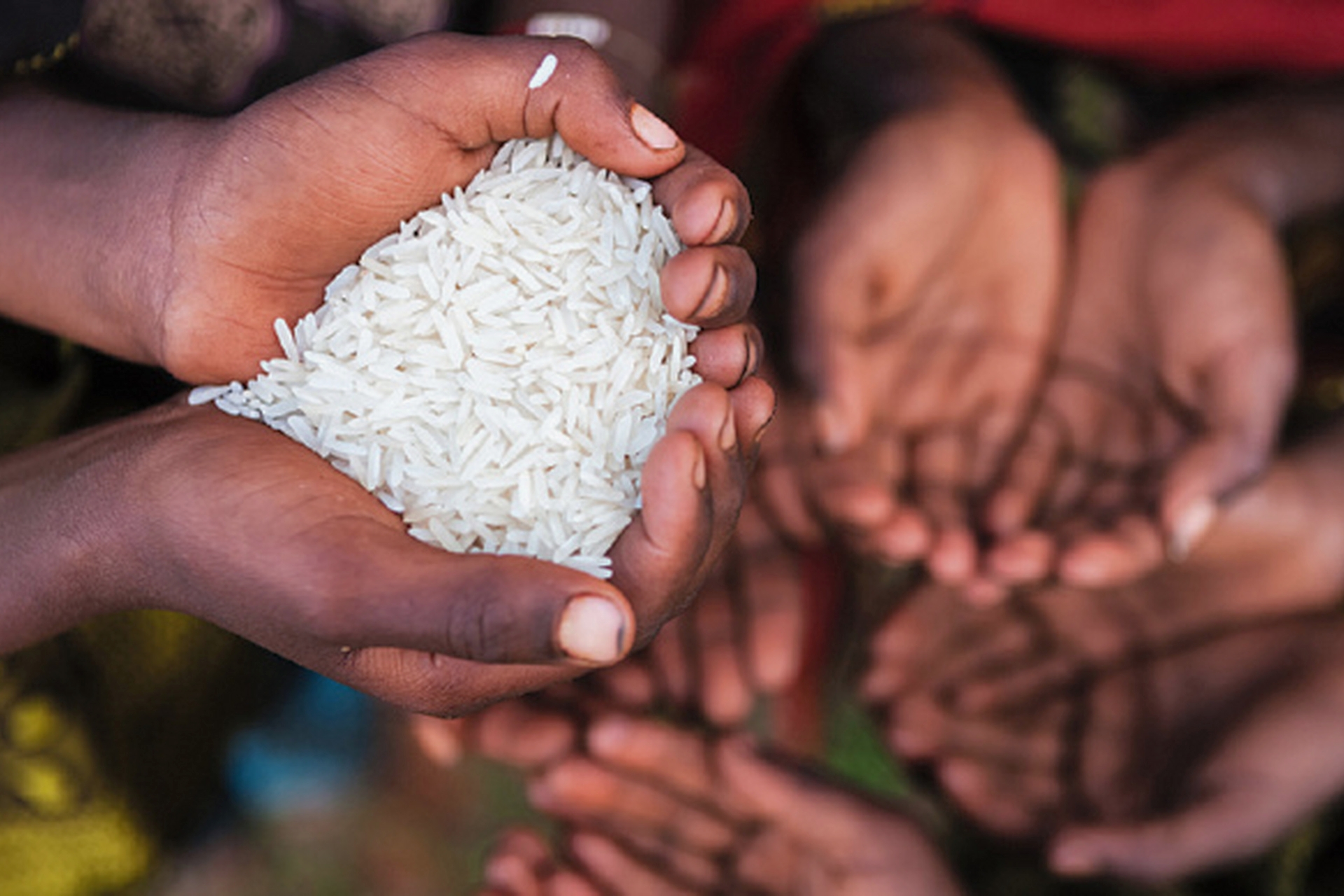 钢铁之躯守护粮安 中国皮卡打响全球粮食“保卫战”插图1