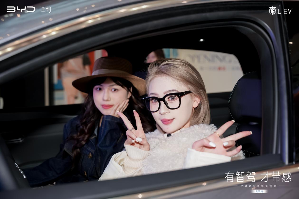 智美中级车秦L EV智驾版贵阳上市 11.98万起售引热潮插图4