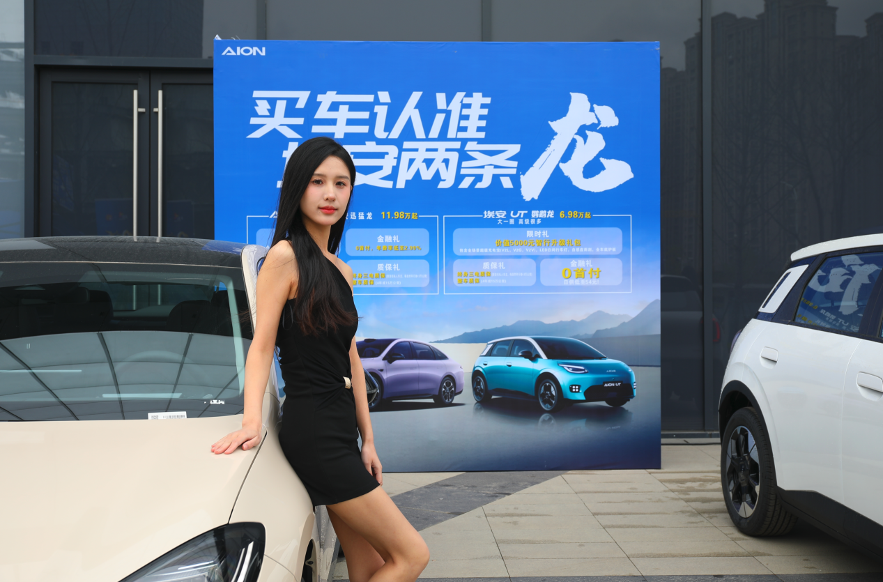 春季欢乐购、补贴再加码，“2025新能源车展”完美收官插图11