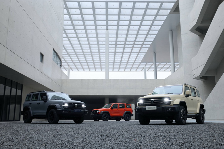 汽油柴油插混3大动力加持，坦克300将于3月10日上市插图