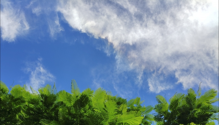 北京未来三天大风频扰 气温先升后降需注意防寒