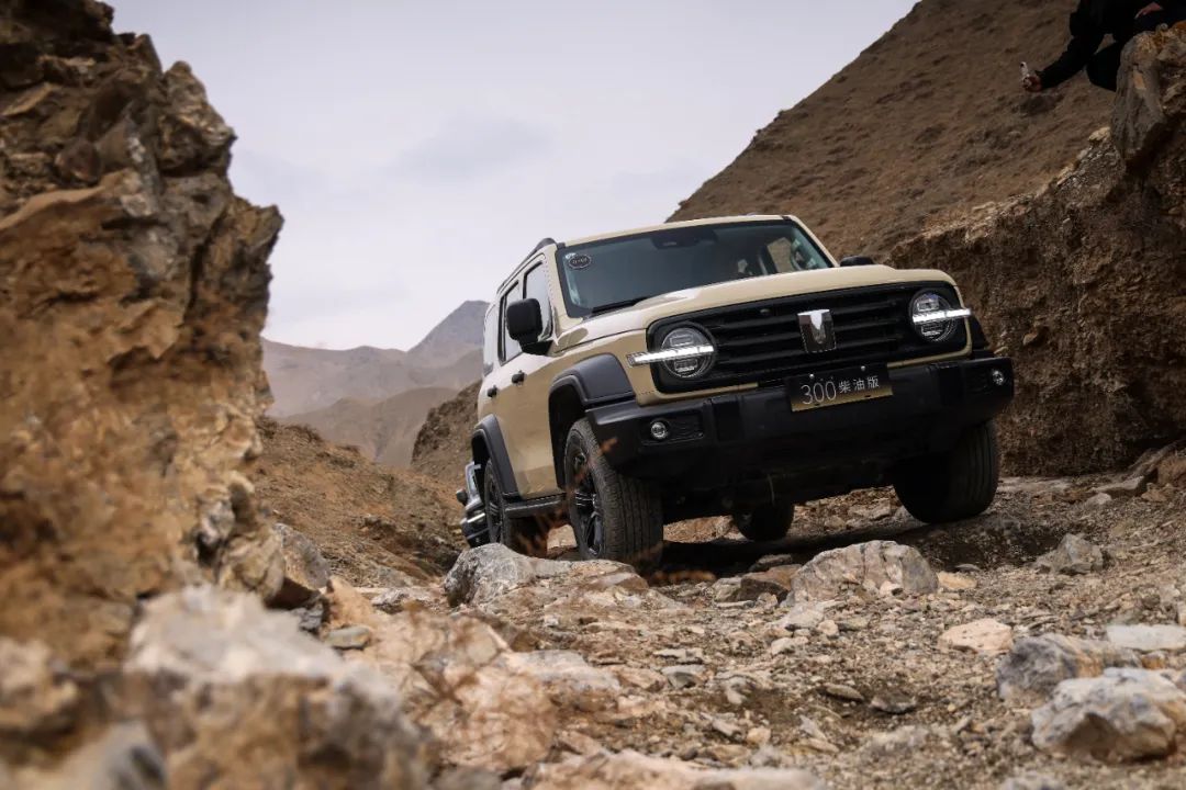 让长城汽车躁动的是什么插图9