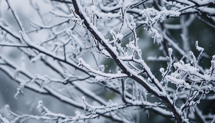 3月10日新疆未来三天天气预报 局地有暴雪并伴有风吹雪
