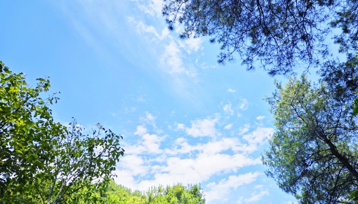 湖北省天气晴热巅峰后迎寒潮大风 局地强对流需防范