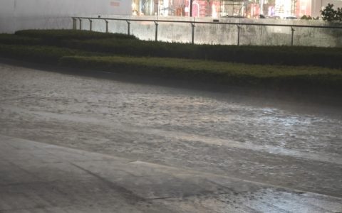 3月12日江西未来三天天气预报 北京近期天气多变昼夜温差大