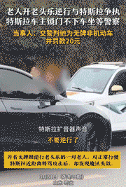 老人驾驶“老头乐” 逆行与特斯拉发生争执：最终仅仅罚款20元