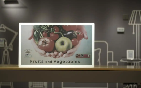 奥翼发布全球首款30寸以上电子纸显示屏：刷新率18帧/秒