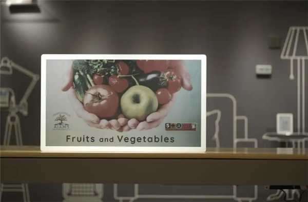 奥翼发布全球首款30寸以上电子纸显示屏：刷新率18帧/秒