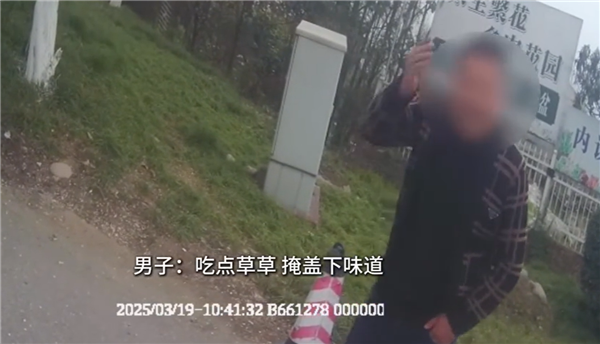 男子酒驾被查：狂吃路边青草
