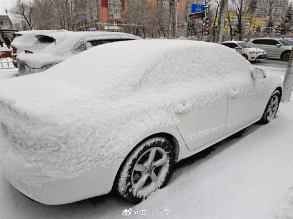 哈尔滨又被打回冬天：3月末下雪了