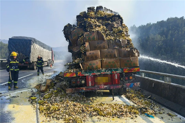 10万枚鸡蛋差点全烤熟！散落高速一片狼藉