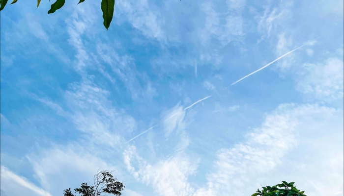 浙江近期气温冲顶后强冷空气来袭 防范剧烈降温与强对流天气插图 浙江近期气温冲顶后强冷空气来袭 防范剧烈降温与强对流天气