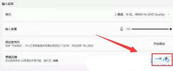 Windows如何设置麦克风增强? Windows系统麦克风权限开启全攻略插图4