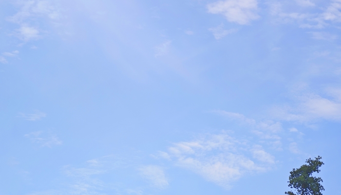 北方气温波动回升 南方阴雨停歇迎暖阳