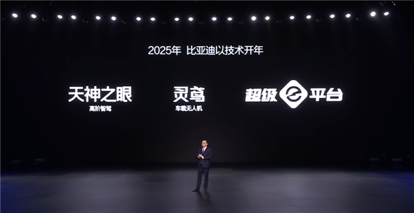 比亚迪21%毛利率背后的变革