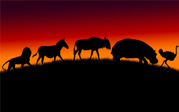 对人类与生俱来的恐惧 是非洲大型动物的生存之道