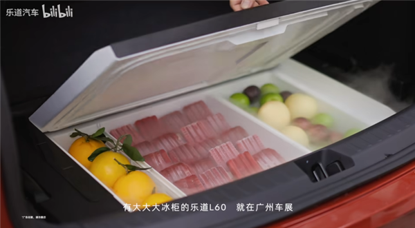 乐道CEO“引咎”辞职 他们这半年到底做错了啥