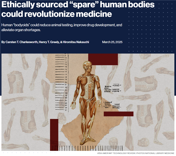 不会思考、没有疼痛！科学家呼吁探索制造像丧尸的“人体”