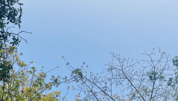 北京未来三天大风持续 气温平稳但昼夜温差大