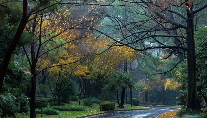 北京清明大风不停歇 昼夜温差大需保暖防火
