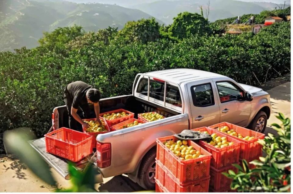 长城皮卡一季度销量突破5万辆 逆势大涨15% 山海炮Hi4-T即将发布