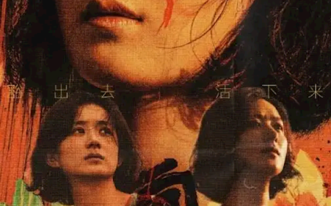 2025年清明档11部新片上映：赵丽颖再演狠角色