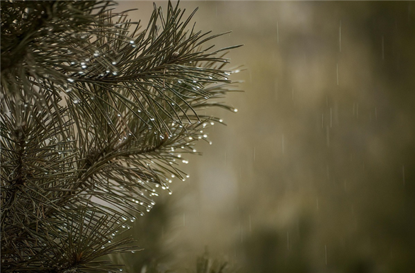 高二女生拿下国家专利:解决雨天骑行难题插图 高二女生拿下国家专利:解决雨天骑行难题