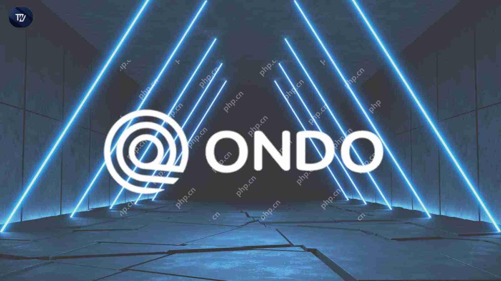 随着Ondo Finance将其桥接基础设施扩展到Solana时,RWAS成为中心舞台插图 随着Ondo Finance将其桥接基础设施扩展到Solana时,RWAS成为中心舞台