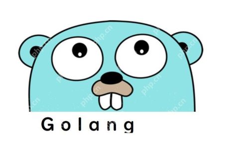 谈谈 Go 语言在网络爬虫开发中的常见反爬虫应对问题