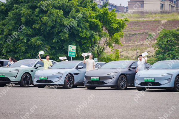 “宠客”出击!阿维塔志愿者免费接驳游客直达荣昌插图 “宠客”出击!阿维塔志愿者免费接驳游客直达荣昌