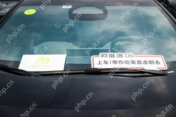 “宠客”出击!阿维塔志愿者免费接驳游客直达荣昌插图2 “宠客”出击!阿维塔志愿者免费接驳游客直达荣昌