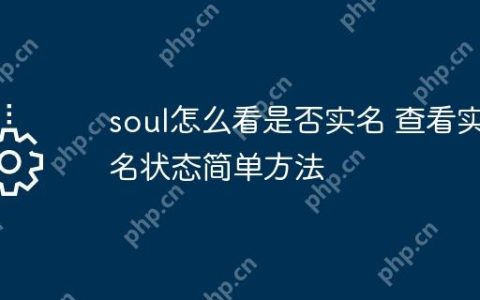 soul怎么看是否实名 查看实名状态简单方法