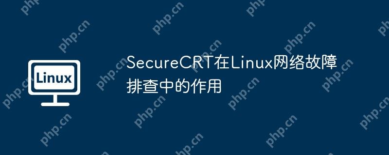 SecureCRT在Linux网络故障排查中的作用