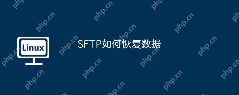 SFTP如何恢复数据