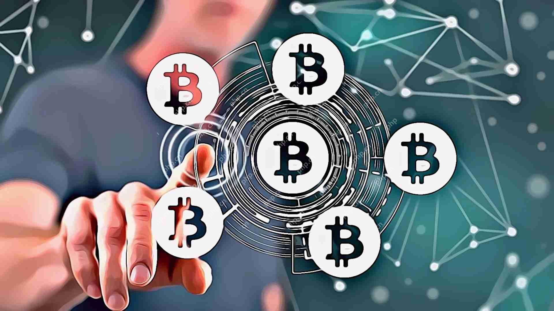 比特币（BTC）市场依靠短期乐观的交易模式，因此处于关键的十字路口