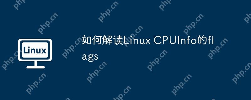 如何解读Linux CPUInfo的flags